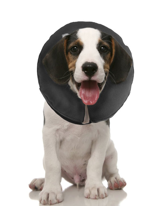ZenCollar - PVC-ring