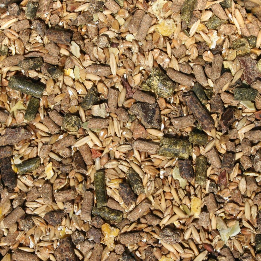 Best Horse - Müsli Classic 20kg