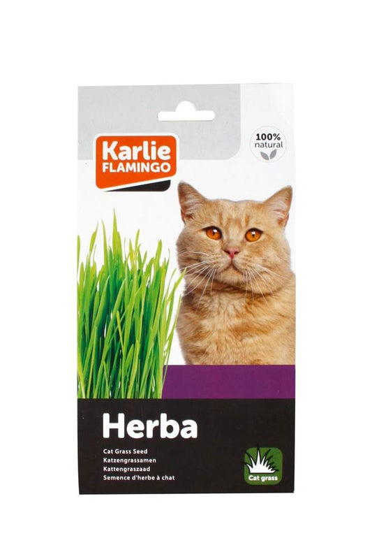 Karlie - Kattgräs
