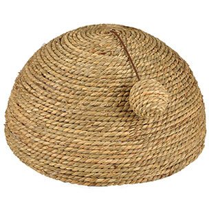 Klöskupol sjögräs