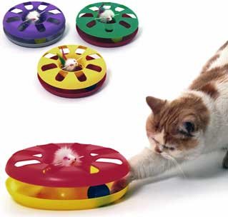 Catnip - kitty-round