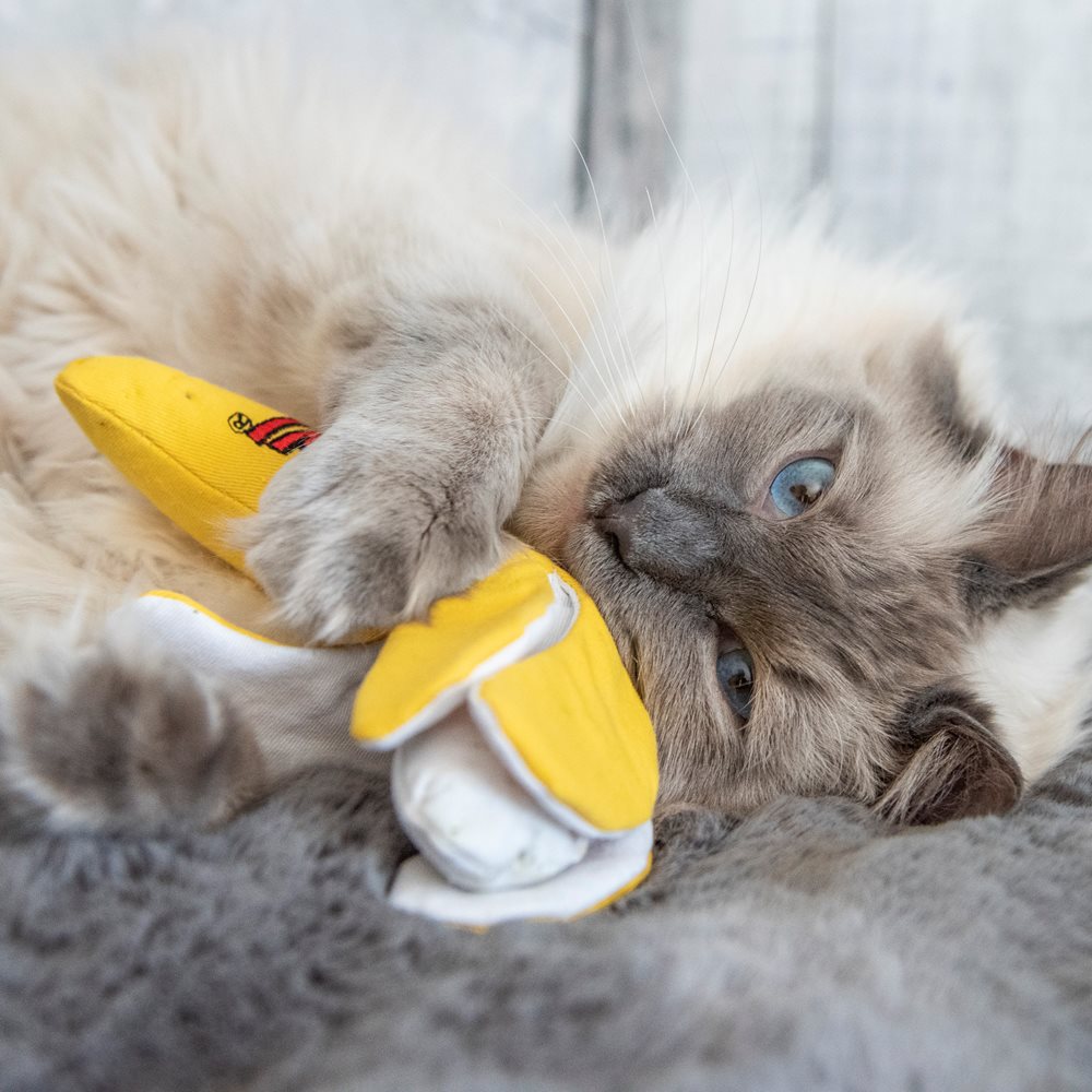 YEOWWW - Banan med prazzelskal